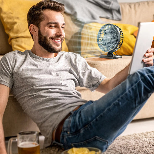 D.escription Report Item Ceiling Fan